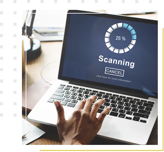 website-vulnerability scanning